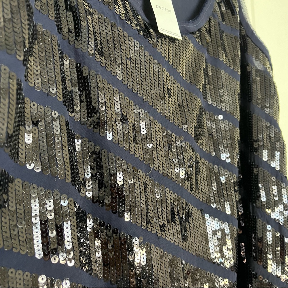 LOFT Blue Stripped Sequin-Embellished Front  (Box B) - Picture 3 of 6